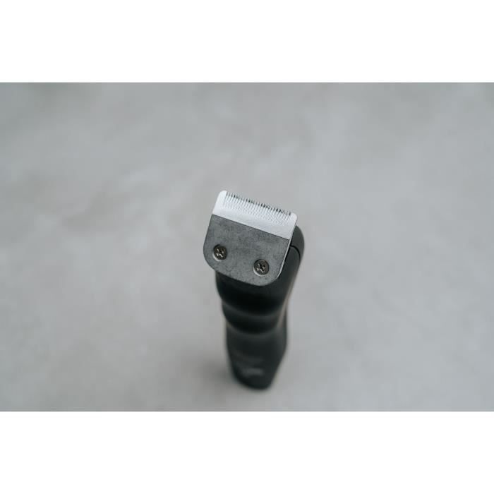 Tondeuse a barbe - WAHL - GROOMSMAN PRO - 2,4 V - 6 sabots - Autonomie : 60 min - Noir / Argent