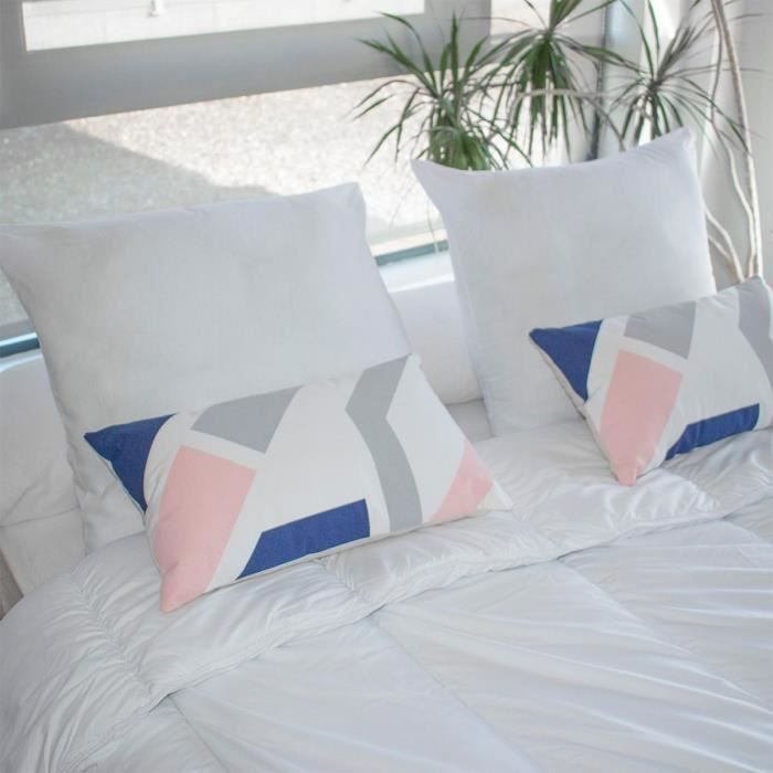 Lot de 2 oreillers aloé véra - 60 x 60 cm - Moelleux - BLEU CALIN - Blanc