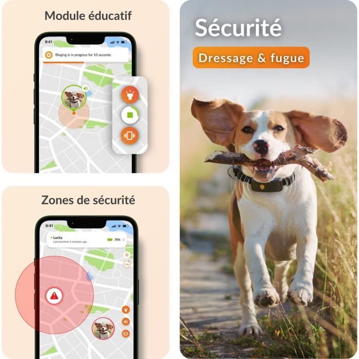 Collier GPS pour chien - WEENECT Chien XT - Antenne XL - Etanche - Collier Julius-K9 - Fonctionne avec abonnement - Orange
