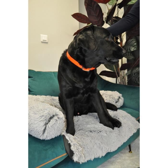 Collier pour chien - AIME - Fluo Hunt - Taille L 63-67 cm - PVC Orange fluo