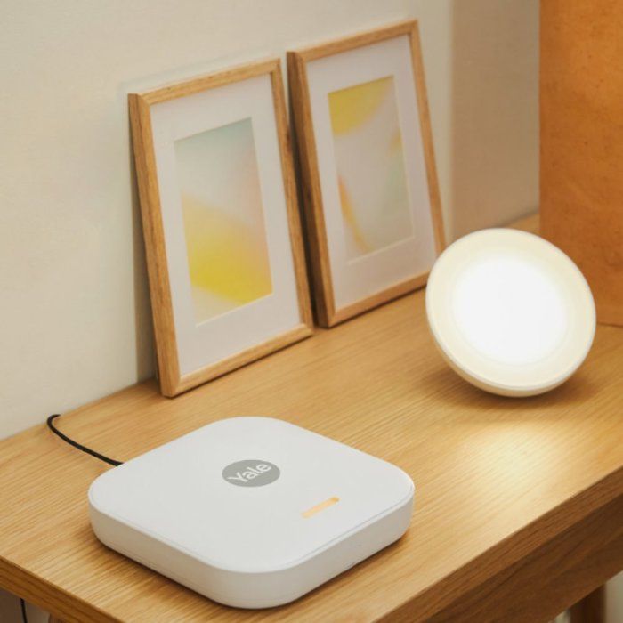 Sirene extťrieure - YALE - Pour alarme intelligente - 100 dB et lumieres LED clignotantes - Gris