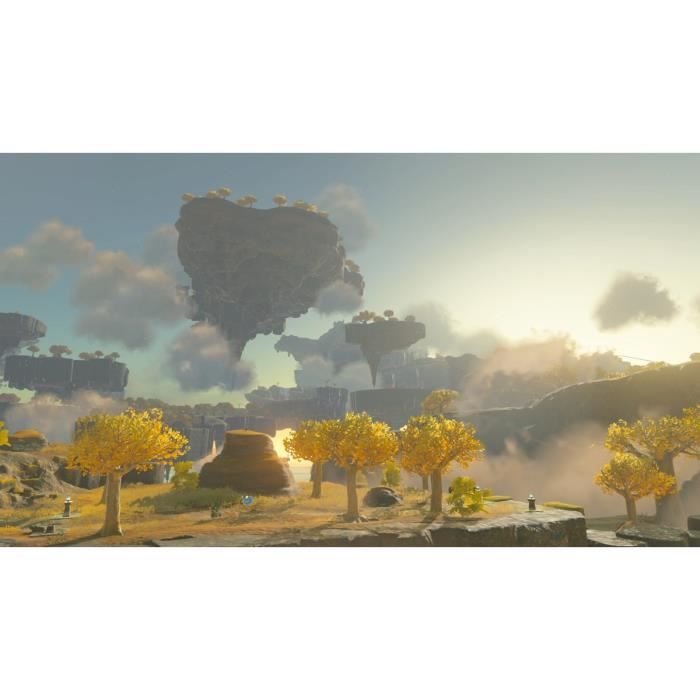 The Legend of Zelda: Tears of the Kingdom Jeu Nintendo Switch