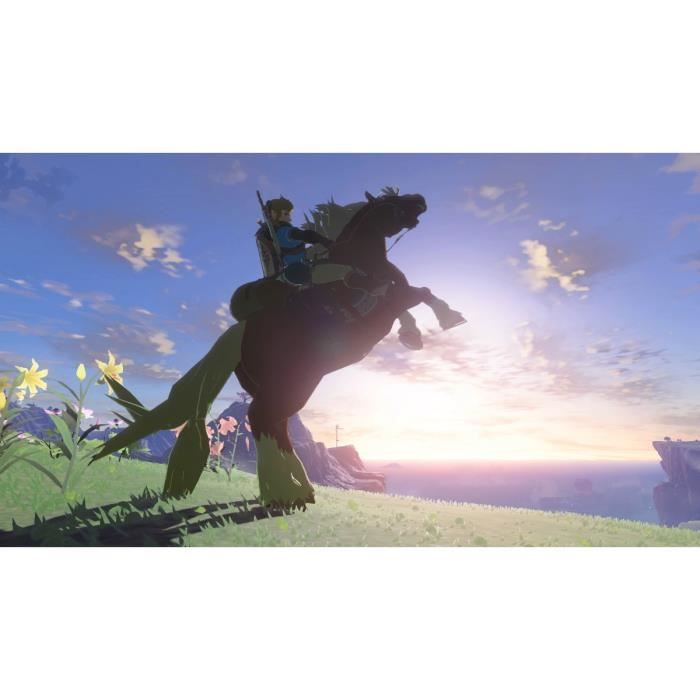 The Legend of Zelda: Tears of the Kingdom Jeu Nintendo Switch