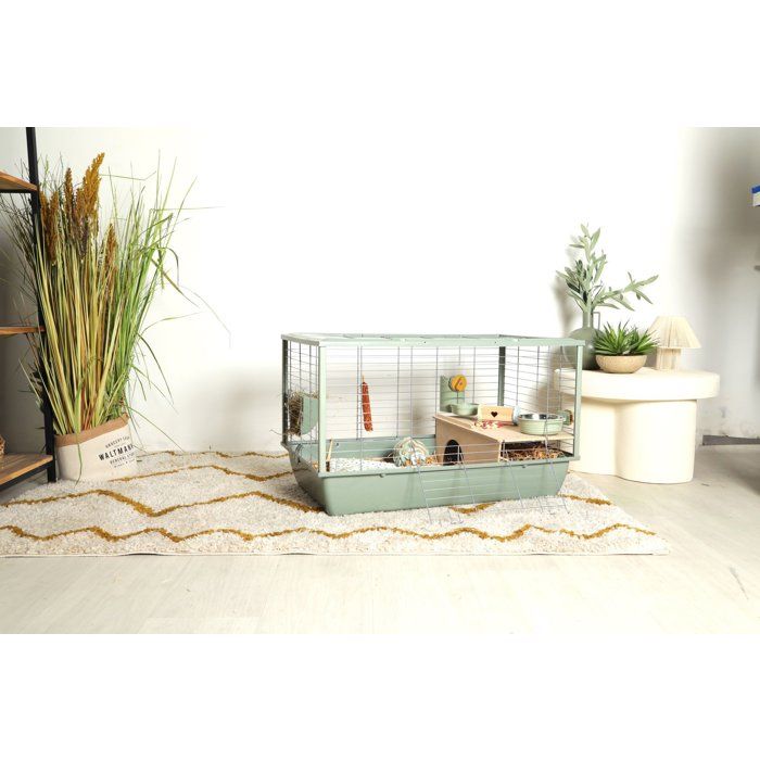 ZOLUX Cage grillagée cochon d'inde et rongeur Néolife - 80 x 52,5 x 48 cm - Vert