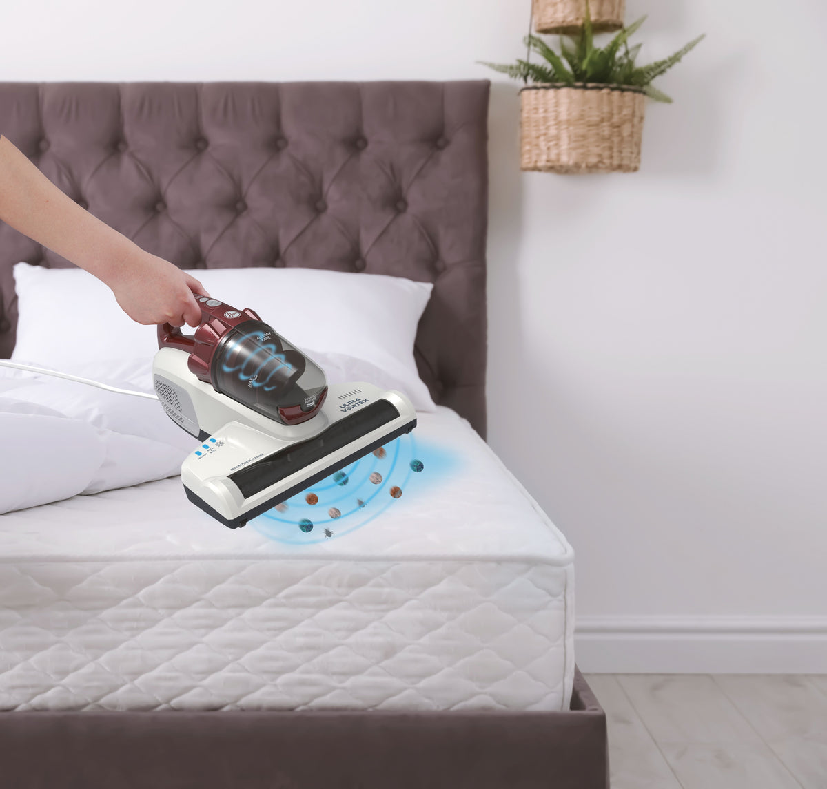 Aspirateur Matelas et Textiles Ultra Vortex - HOOVER MBC500UV - 500 W - 0,3 L - Animaux Allergies - Lampe UV-C antibactérien