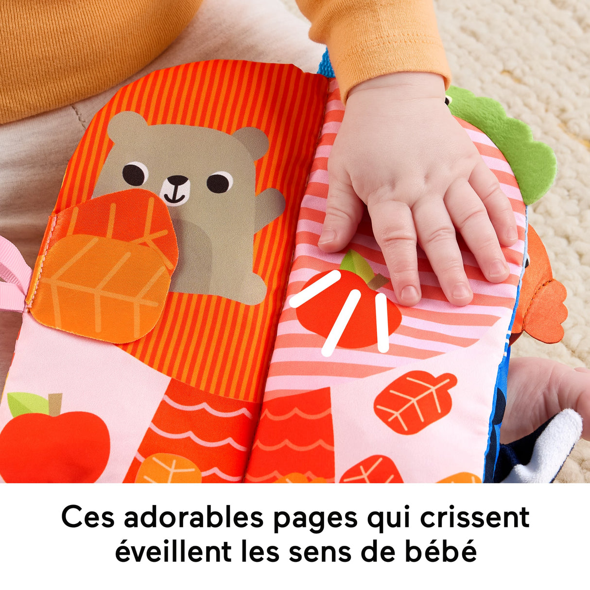 LIVRE D EVEIL DES 4 SAISONS