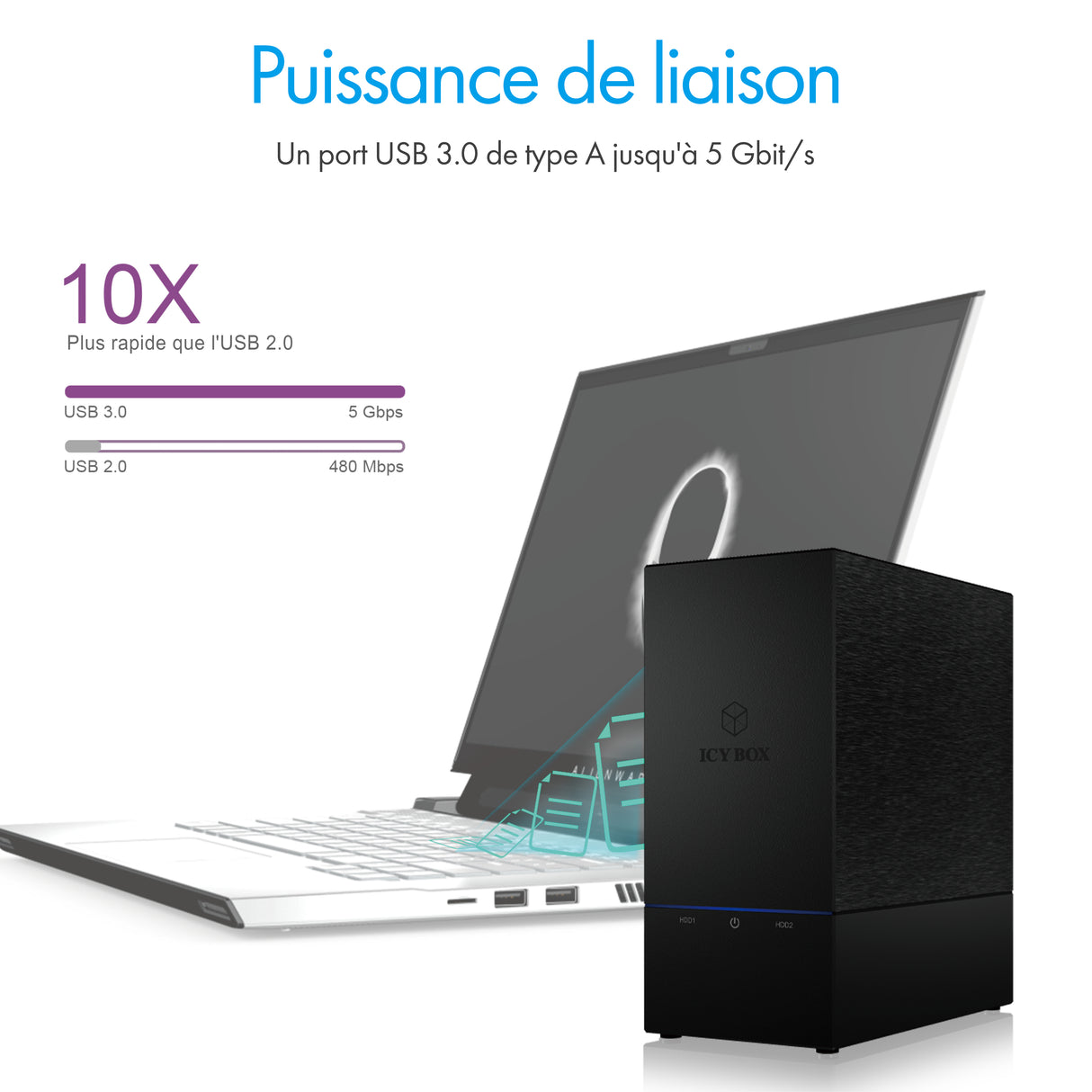 Boitier Externe Icy Box IB-RD3621U3 USB3.0 - 3,5" S-ATA - 2 Baies