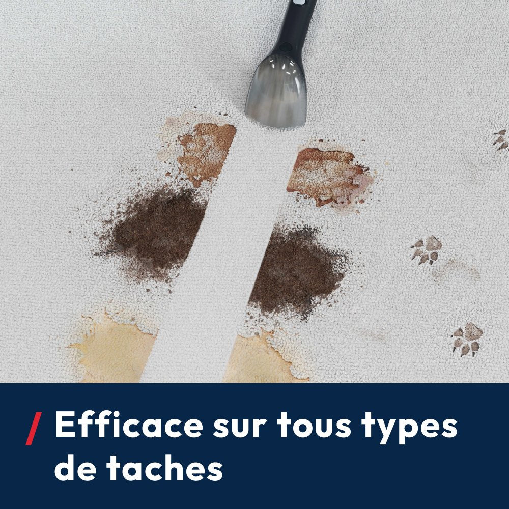 Nettoyeur Détacheur Shampouineuse HOOVER HS500 - Lave et Seche Tapis,Moquette, Canapé, Tissus, Sieges Voiture - Puissant 400W