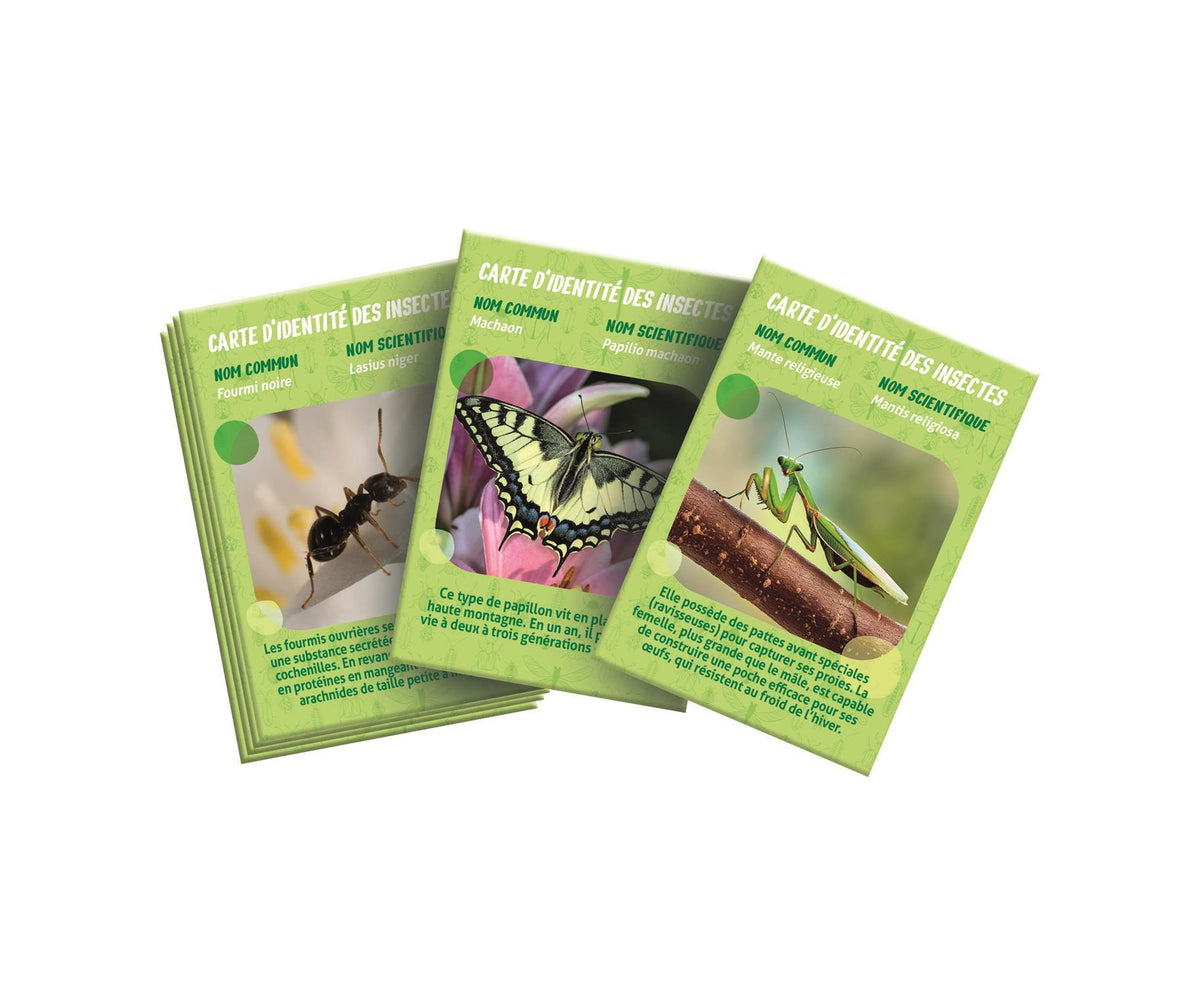 La maison des insectes - Clementoni - Science & Jeu - Jeux Scientifiques