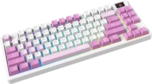 Clavier Gamer sans fil Bluetooth mécanique MSI Forge GK600 TKL RGB (Blanc/Violet)
