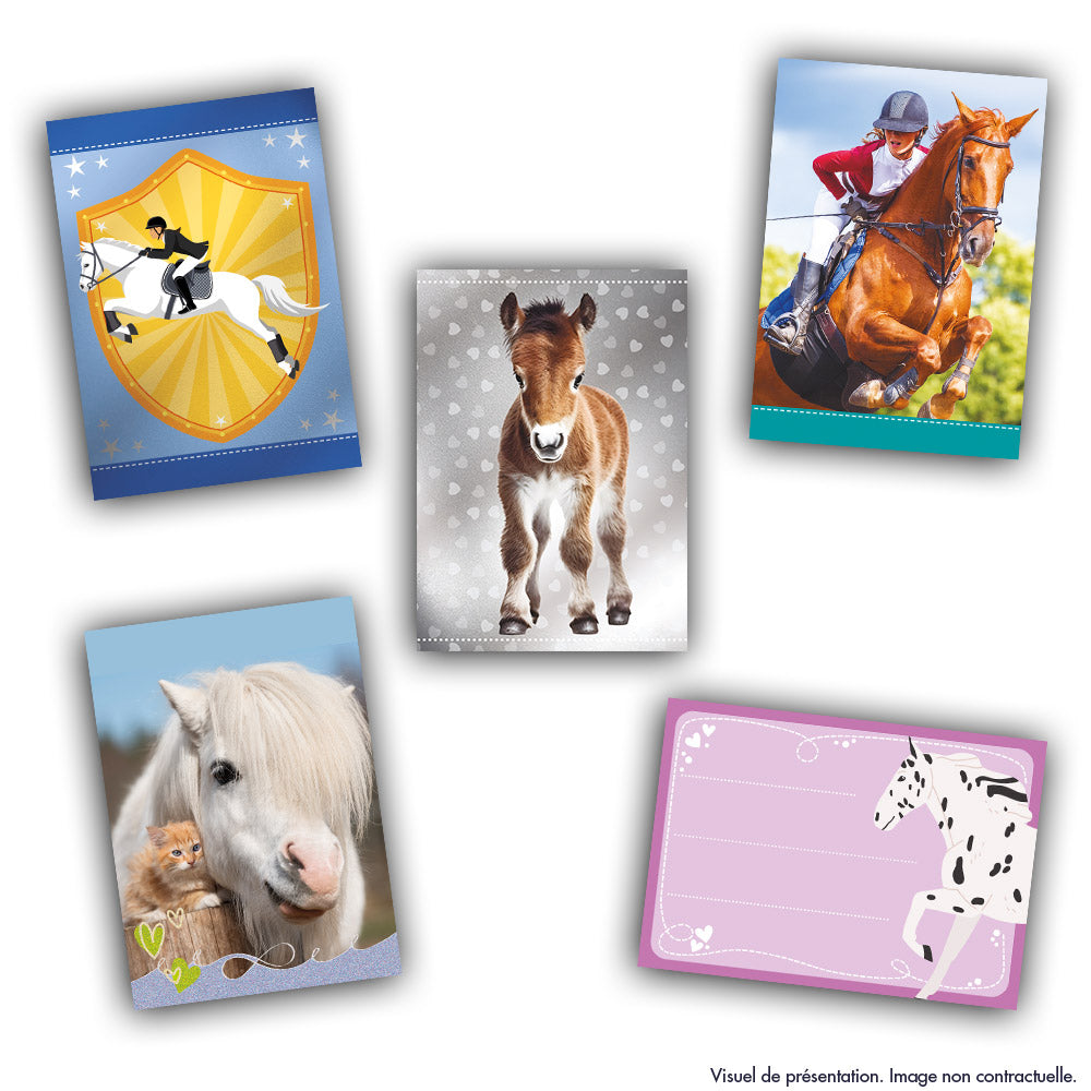 Boîte stickers - PANINI - Collection de cartes pour les fans de chevaux - Contient 24 pochettes de 8 cartes