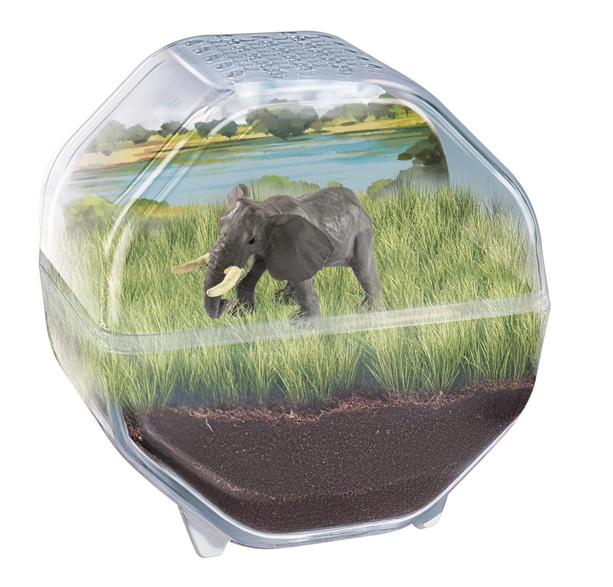 Mini Terrarium - Clementoni - Éléphant - Jeu de sciences et d'expériences - Des 7 ans - Fabriqué en Italie