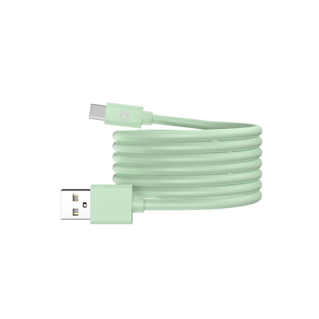 C ble IZZY USB / USB-C 2m - 60W - vert