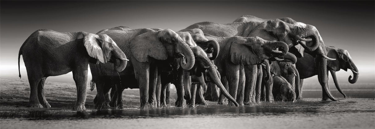 CLEMENTONI - Compact 1000 pieces Panorama - Herd of Giants