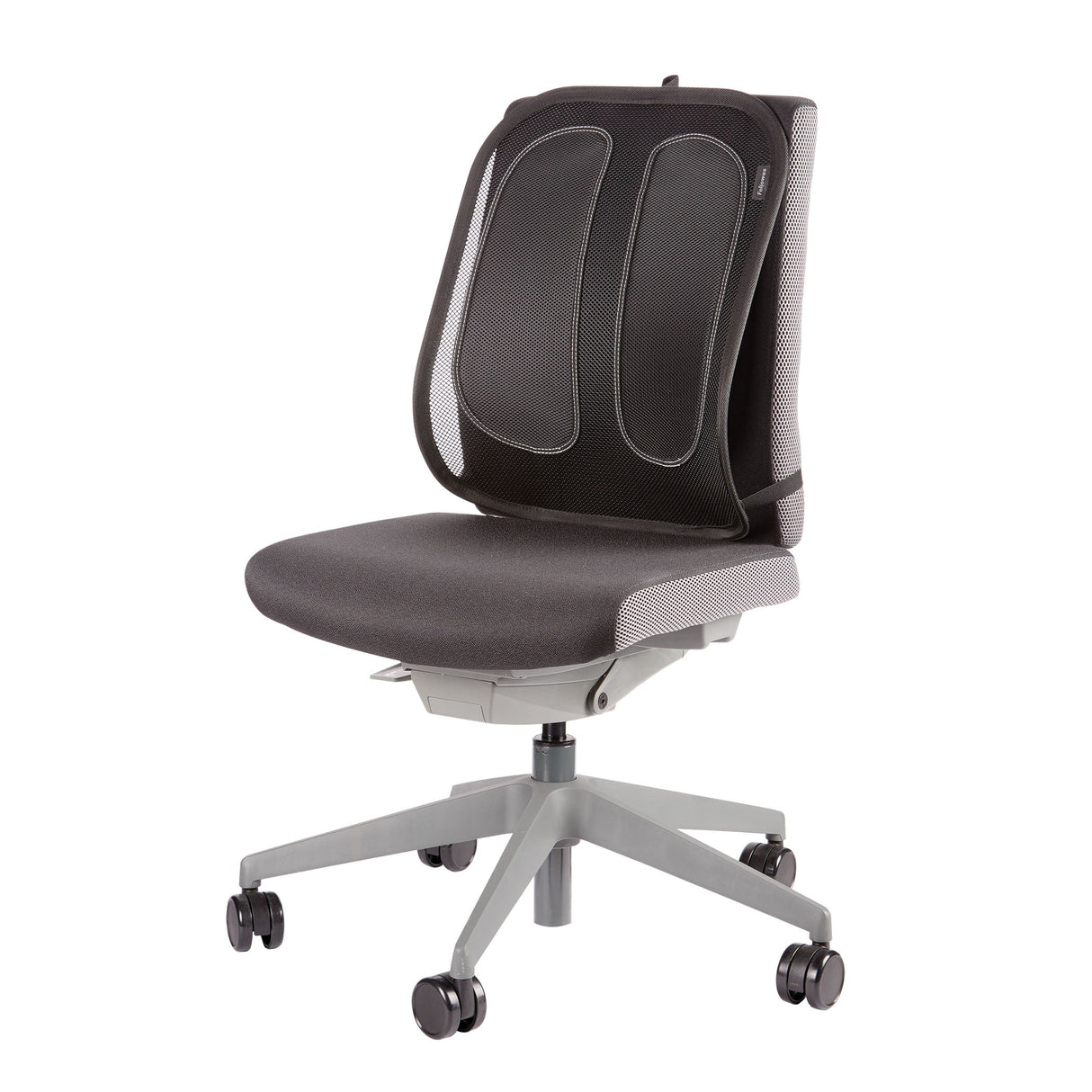 Support dorsal Fellowes Office Suites (Noir)