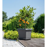 Pot de fleurs carrÈ - GARDEN ID - Teramo noir-anthracite - 40 x 35 cm - RÈsistant aux Rayures - Effet Pierre - Avec Trous