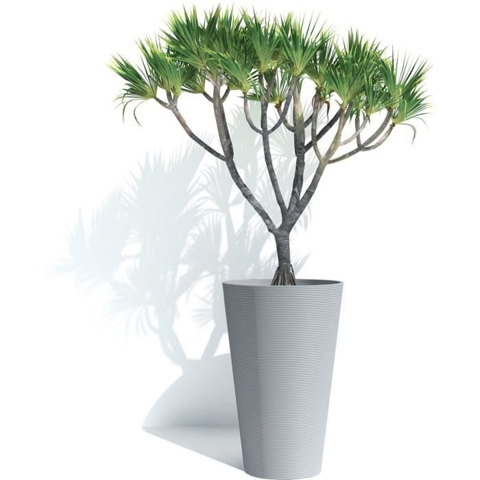 Pot de fleurs haut - GARDEN ID - Green Care Sense Haut Pierre bleue - 55 cm - Garantie 10 ans - 100% recyclé - Résistance UV et gel