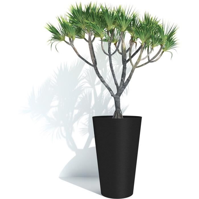 Pot de fleurs haut - GARDEN ID - Green Care Sense Haut Noir-Anthr. - 55 cm - Garanti 10 ans - 100% recyclé - Résistance UV et gel