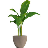 Pot de fleurs - GARDEN ID - Green Care Impact Taupe - 50 x 41 cm - Garanti 10ans - 100% recyclé - Résistant UV/gel