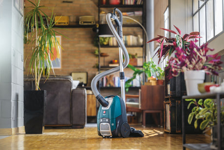 Aspirateur Traineau avec Sac - HOOVER - HE530ALG - 700 W - 4 L - 65 dBA - Spécial animaux et allergies