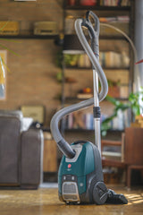 Aspirateur Traineau avec Sac - HOOVER - HE530ALG - 700 W - 4 L - 65 dBA - Spécial animaux et allergies