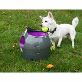 PetSafe 30 Fuß automatischer Ballwerfer, Grau und Lila PTY00-14665