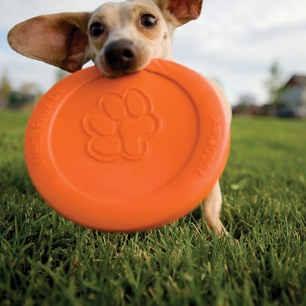 Zogoflex Frisbee für Hunde Zisc Größe L Orange 1937