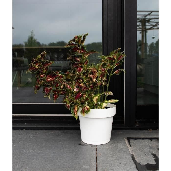 Water reserve pot - GARDEN ID Glamour - White 40 cm - Grainy surface - Indoor/outdoor - Sleek design.