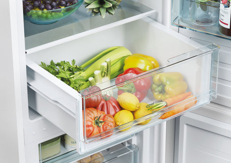 Réfrigérateur combiné - CANDY - CCT3L517EW - Classe E - 260 L - 39 dB - Blanc