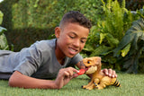 Jurassic World - Figurine Aquilops a apprivoiser - Dinosaure interactif - Jurassic World - JGC01