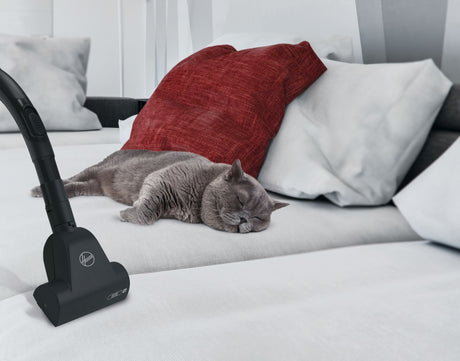 HOOVER TXL21PET - Aspirateur Traineau avec sac - Puissance 700 W - Filtre EPA12 - Ultra-Maniable - Variateur intégré