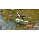 Stérilisateur UVC - UBBINK - AlgClear 20000 - Puissance 18W - Pour bassins jusqu'a 10 m³ - Raccords 1½
