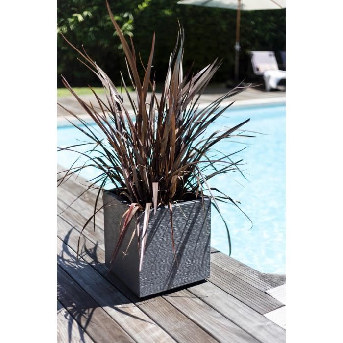Pot de fleurs Carré 50 cm - EDA - Graphit - 57 L - 49,5 x 49,5 x H. 49,5 cm - Gris Anthracite