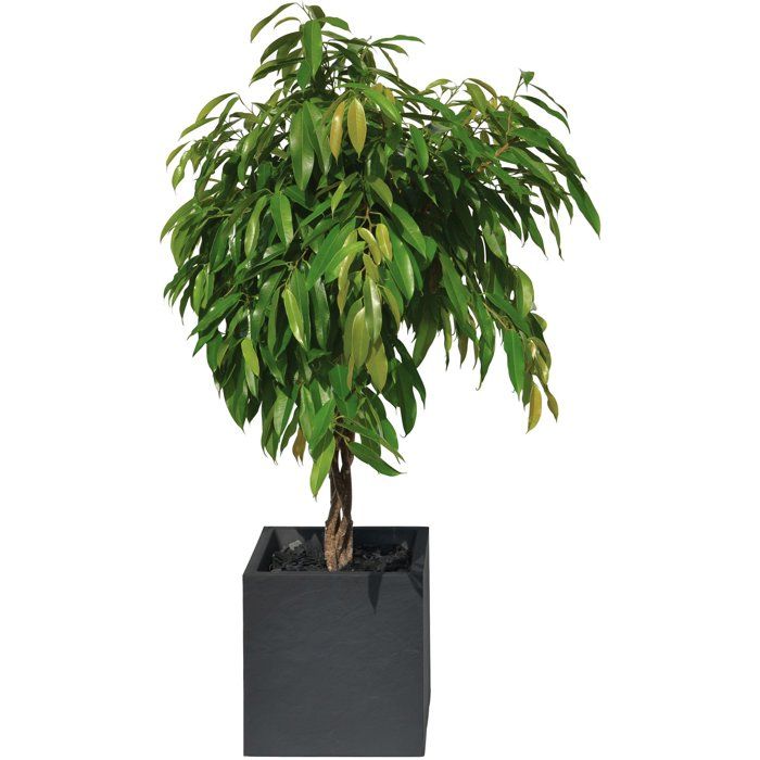 Pot de fleurs Carré 40 cm - EDA - Volcania - 31 L - Intérieur/Extérieur - Décor Pierre - 39,5 x 39,5 x H 43,5 cm - Gris Anthracite