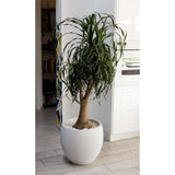 EDA Pot rond Graphit ÿ50cm - Contenance 46L - Blanc cÈrusÈ