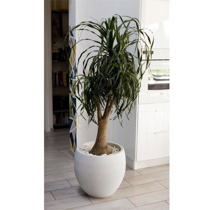 Pot de fleurs Rond Egg Ř 50cm - EDA - Graphit - 46 L - Ř 50 x H. 45 cm - Blanc cérusé