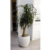 Pot de fleurs Rond Egg Ř 50cm - EDA - Graphit - 46 L - Ř 50 x H. 45 cm - Blanc cérusé
