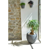 Pot de fleurs Rond Egg Ø 50cm - EDA - Graphit - 46 L - Ø 50 x H. 45 cm - Gris Anthracite