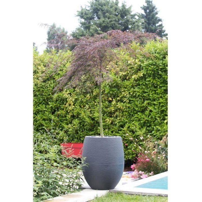Pot de fleurs Rond Egg Ř 50cm - EDA - Graphit - 53 L - Ř 50 x H. 53 cm - Gris Anthracite