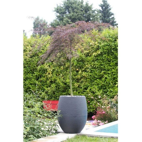 Pot de fleurs Rond Egg Ř 50cm - EDA - Graphit - 53 L - Ř 50 x H. 53 cm - Gris Anthracite