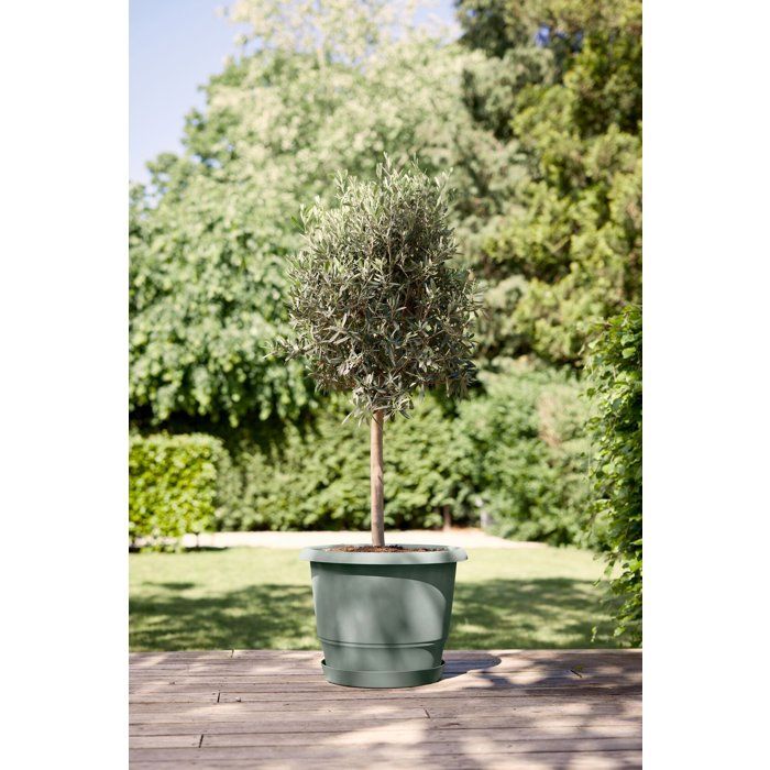 Pot de fleur rond - ELHO - Amiga Rond 55 - 55 L - Ø 55 x H 51 cm - Vert - Extérieur