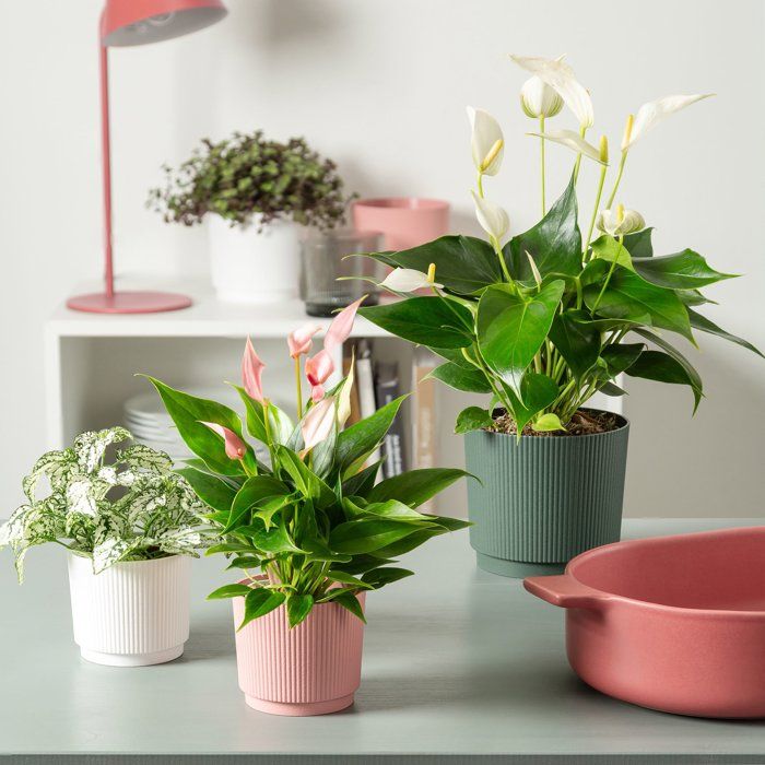 Cache-pot rond - GARDEN ID - Lino - Ø 25 - 7 L - H 22 cm - Rose