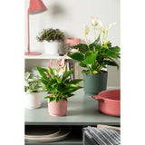 Cache-pot rond - GARDEN ID - Lino - Ø 25 - 7 L - H 22 cm - Vert foncé