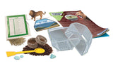 Mini Terrarium - Clementoni - Lion - Jeu de sciences et d'expériences - Des 7 ans - Fabriqué en Italie