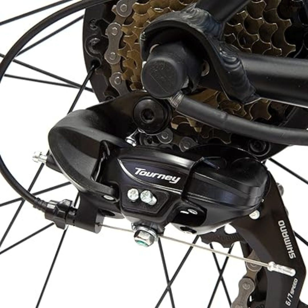 Vélo électrique Argento Performance Moteur Bafang M400 36V/250W/45Nm , Batt Int