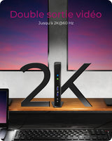 Station d'accueil USB-C 3.0 Icy Box IB-DK2241AC avec alimentation (Noir)
