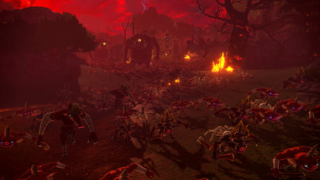 Hyrule Warriors: Les Chroniques du Sceau • Jeu Nintendo Switch 2
