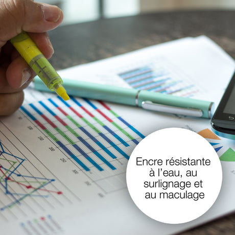 EPSON Cartouche d'encre T1301 Noir - Cerf (C13T13014012)