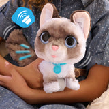 Jouet interactif - FURREAL FRIENDS - Chaton Grand Marcheur 23 cm - Animal interactif avec laisse