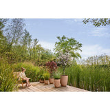 Pot de fleur haut - ELHO - Sereh Haut 40 - 50 L - Ř 39 x H 53 cm - Marron - Balcon/intérieur/extérieur